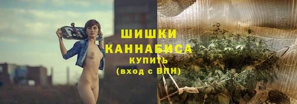 PSILOCYBIN Алзамай