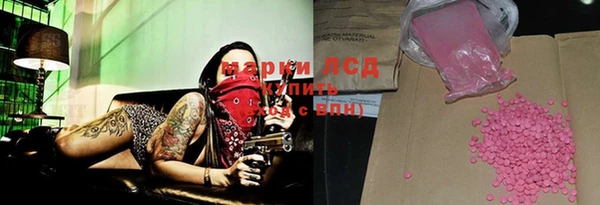 PSILOCYBIN Алзамай