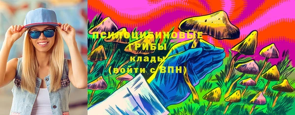 PSILOCYBIN Алзамай