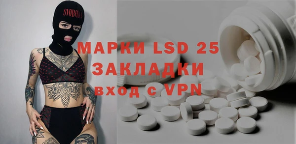 PSILOCYBIN Алзамай