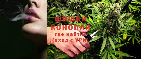 PSILOCYBIN Алзамай