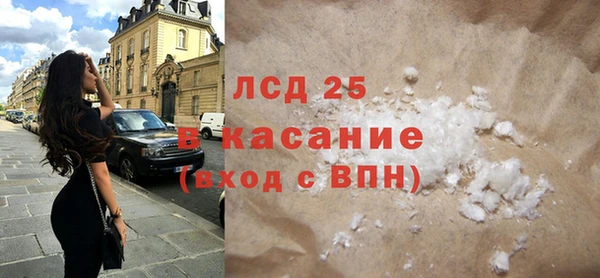 PSILOCYBIN Алзамай