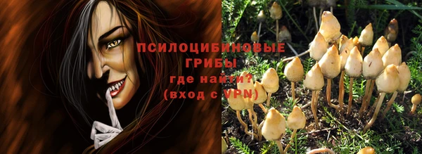 PSILOCYBIN Алзамай