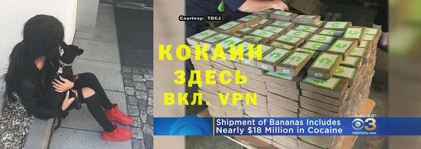 спайс Алексин