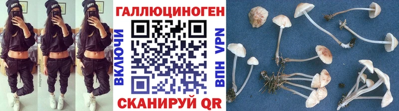 Галлюциногенные грибы Magic Shrooms  Люберцы 